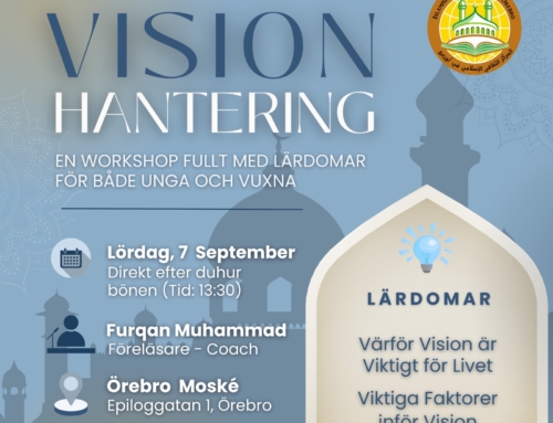 Workshop om Vision hantering