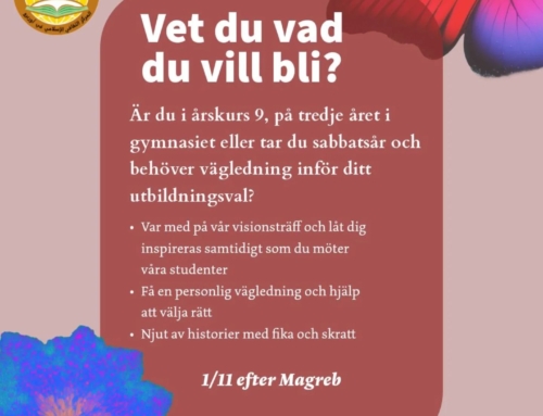 Visionträff på fredag 1Nov