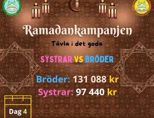 Tävlingsresultatet mellan Bröder och Systrar